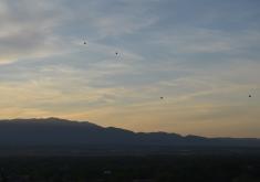 Balloons at Dawn