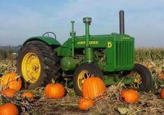 Tractor in pumpkin patch