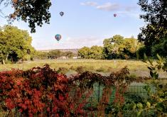 balloons over field