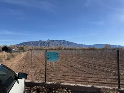 Bird Viewing property