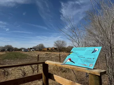 Bird viewing property 2