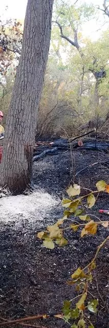 Fire 10-9-2020 Dixon