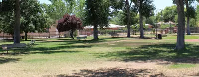 Park with greenery and benches