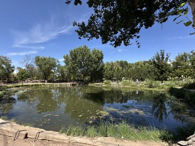 Liam Knight Pond